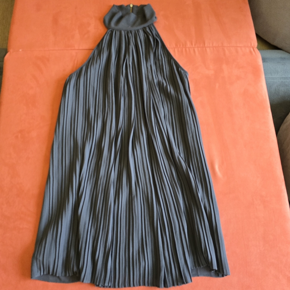 Naked Zebra Sleeveless Pleated Swing Dress